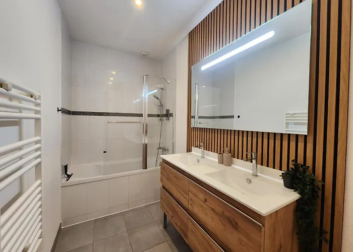 Le Plaisance De Mérignac *